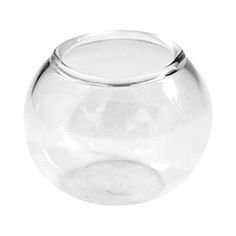 a clear glass vase on a white background