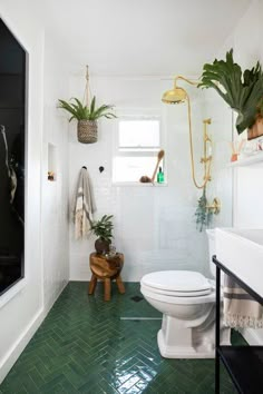 a white toilet sitting in a bathroom next to a green tiled floor with plants on the wall