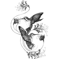 two birds flying next to each other on top of a white background with swirls