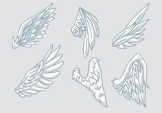 six white angel wings are shown in this drawing style, and each has different shapes