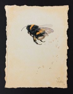 a painting of a bee on a piece of paper