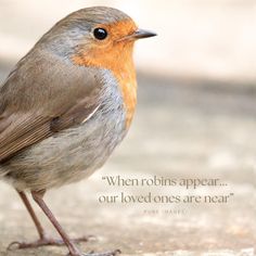 a small bird standing on the ground with a quote above it that reads, when robin's appear our loved ones are near