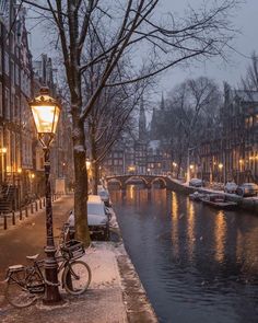 a street light sitting on the side of a river next to a tree filled with snow