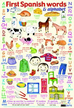 a poster with spanish words and pictures of different types of things in the language, including animals