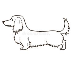 a black and white drawing of a long haired dachshund