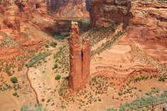 an aerial view of canyons and cliffs in the desert, with trees growing out of them