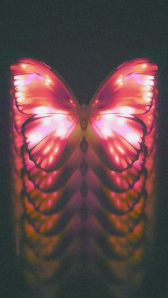 a pink butterfly sitting on top of a piece of paper with lights in it's wings