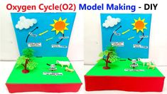 oxygen cycle(02) model making for science exhibition - diy | DIY pandit
#oxygencyclemodel #modelmaking #scienceproject #scienceexhibition #diypandit Oxygen Cycle, Diy Science Projects, Science Exhibition, Diy Science, Science Projects, Model Making, Cycling, Science