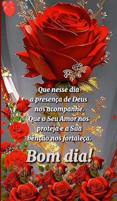 a red rose with the words bondi written in spanish on it and an image of a