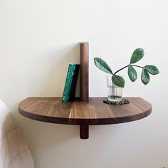 a wooden shelf with books and a plant on it