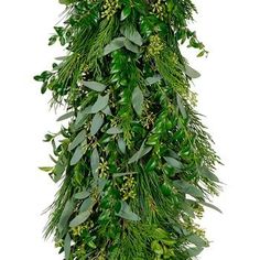 Seeded Eucalyptus White Pine Garland, Cedar Garland, Boxwood Garland, Sage Green Flowers, Winter Romance, Long Vase, Low Centerpieces, Fresh Eucalyptus, Silver Dollar Eucalyptus