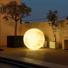 an illuminated ball sitting on top of a wooden floor next to potted plants and trees