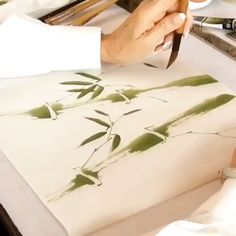 a person is using scissors to paint bamboos on a piece of paper with watercolor pencils