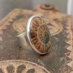 This Ammonite fossil ring is a real statement piece!  These Ammonite fossils have a beautiful consistent colour, a deep chocolate brown. They have been carefully cut and polished ready to be set into a sterling silver, smooth, single bezelled ring. The sterling silver band is wide and wraps around the finger. It is a heavy quality ring. The size of the Ammonite is 25mm x 20mm.  This ring available in various sizes.. But what is an Ammonite I hear you ask? Well, Ammonites are perhaps the most wid Fossil Ring, Chocolate Brown, Sterling Silver Bands, Jewelry Inspo, Fossil, Rings Statement, Ring, Statement Rings, My Jewellery