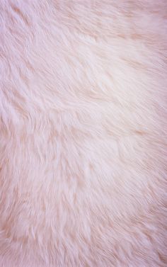 an animal fur texture is shown in this image