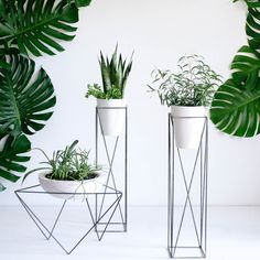 two white planters sitting next to each other on top of a table with plants in them