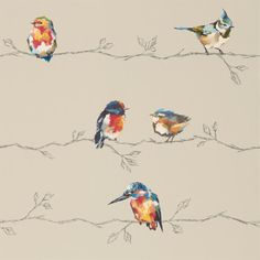 three colorful birds sitting on top of barbed wire