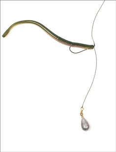 a long green snake tail with a tiny drop hanging from it's end on a white background