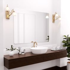 a bathroom with two sinks, mirrors and plants on the counter top in front of it