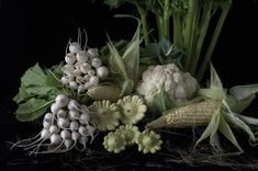 an arrangement of vegetables including broccoli, cauliflower and corn on the cob