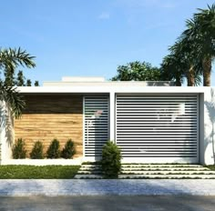 a modern house with palm trees in the front yard