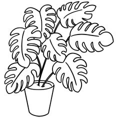 a black and white drawing of a potted plant with large leaves on the top