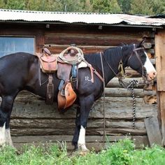 a horse with saddle standing in front of a log cabin