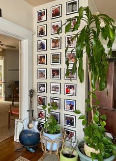 a living room filled with potted plants and pictures on the wall