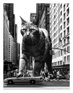 a large cat walking across a street next to cars and people on the sidewalk in front of tall buildings