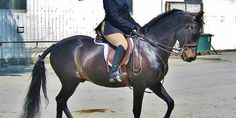 a person riding on the back of a brown horse in an arena with white walls