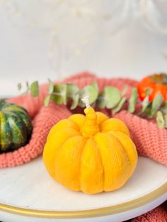 a small pumpkin sitting on top of a white plate