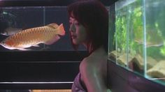 a woman looking at a fish in an aquarium