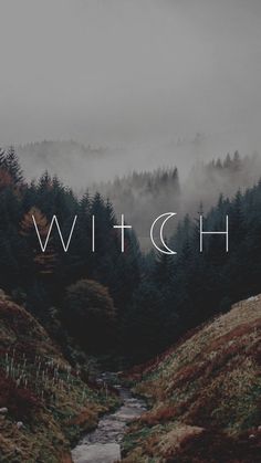 the words witch are in front of a forest with foggy trees and hills behind it