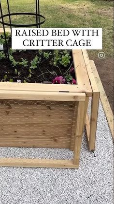 raised bed with critter cage on gravel area