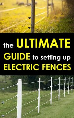 the ultimate guide to setting up electric fences