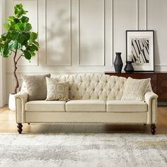 a living room with a couch and a potted plant on the floor next to it