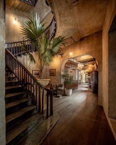 an entry way with stairs and potted plant in the center, surrounded by stone walls