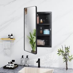 a bathroom with a sink, mirror and shelf in it's corner next to a potted plant