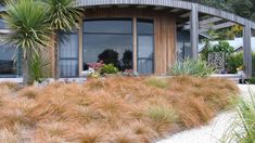 the house is surrounded by tall grass and palm trees