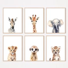 four pictures of different animals on a white background, each with an animal's face