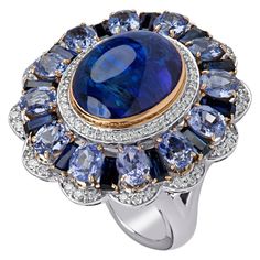 Zorab Creations Tanzanite 9.27 Carat and Sapphire 7.62 Carat Wreath Ring | From a unique collection of vintage Fashion Rings at https://www.1stdibs.com/jewelry/rings/fashion-rings/. Most Expensive Jewelry, Wreath Ring, Wreath Rings, Tanzanite Diamond Ring, Diamond Fashion Rings, Vintage Style Rings, Cluster Engagement Ring, Expensive Jewelry, 18k Gold Ring