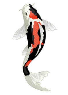 a black and white koi fish with orange stripes on it's tail, swimming in the water