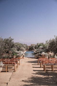 rows of wooden benches sitting next to each other near an olive tree lined path in front of a body of water