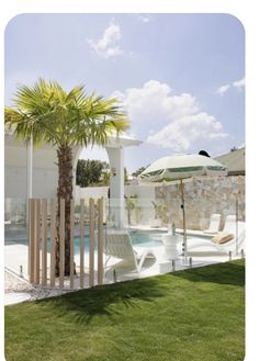 a palm tree sitting next to a swimming pool