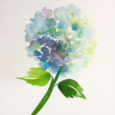 a watercolor painting of a blue and green hydrangea flower on a white background