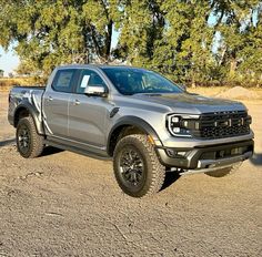 a silver truck parked in the middle of a dirt lot next to trees and bushes