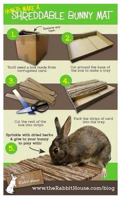 how to make a cardboard bunny mat with instructions on how to use it for rabbits