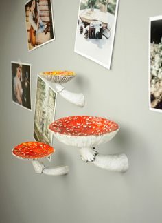 there are pictures on the wall with mushrooms hanging from it's sides, and an upside down cake plate in the middle