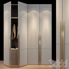 an image of a modern closet setting