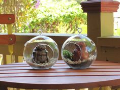 two glass balls with plants inside sitting on a table